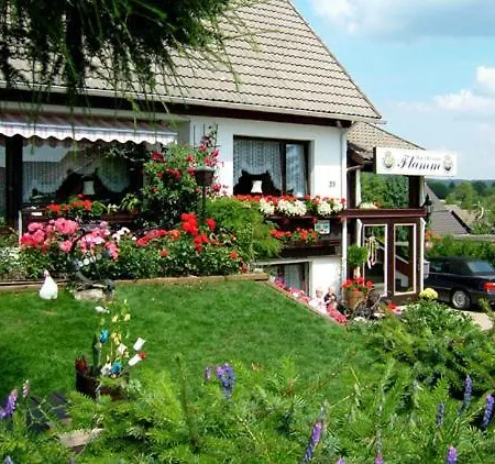 Bergflamme - Ihr Ferienhaus Im Harz Mit Panoramasauna Tatil Evi *