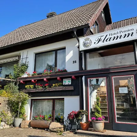 Hotel-Pension Flamm Semesterbostad *