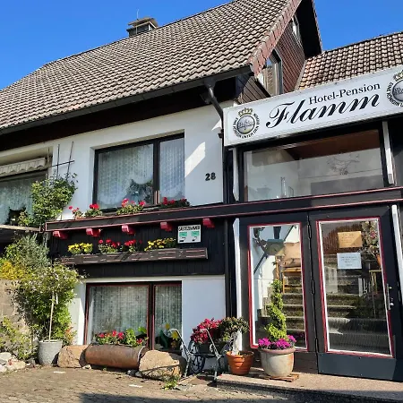 Hotel-pension Flamm Braunlage