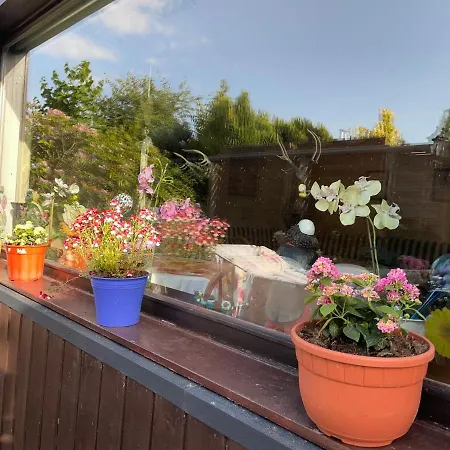 Bergflamme - Ihr Ferienhaus Im Oberharz Mit Sauna Holiday home Braunlage