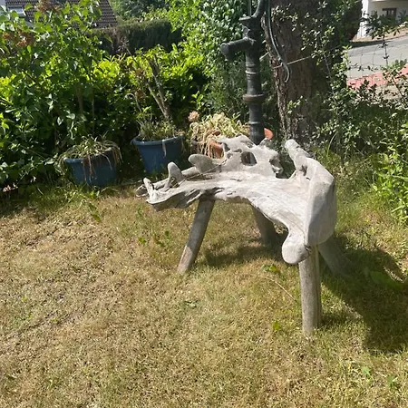 Guest house Hotel-pension Flamm Braunlage