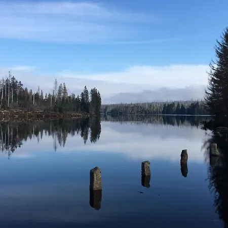 Bergflamme - Ihr Ferienhaus Im Harz Mit Sauna *