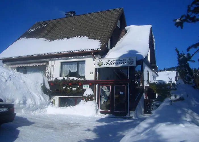 Bergflamme - Ihr Ferienhaus Im Harz Mit Sauna