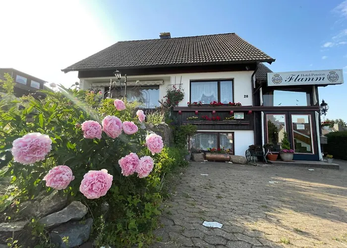 度假居 Bergflamme - Ihr Ferienhaus Im Harz Mit Sauna *
