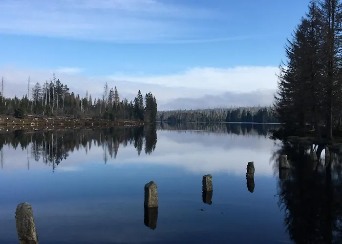 Bergflamme - Ihr Ferienhaus Im Harz Mit Sauna *